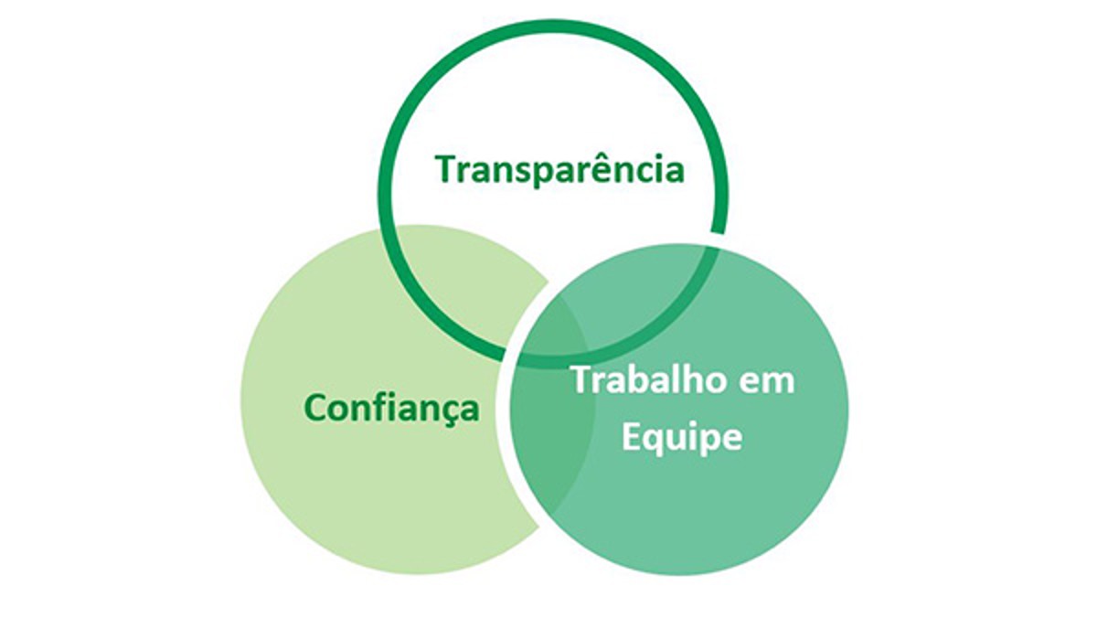 Estes dois últimos, combinados a mais um item, compõem o que chamamos de nossos 3Ts (deriva-se do inglês - Transparency, Trust and Teamwork)